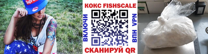 Купить закладки  Дмитровск  Кокаин Fish Scale 