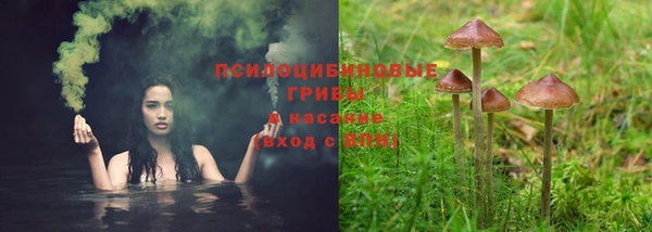 синтетический гашиш Заводоуковск