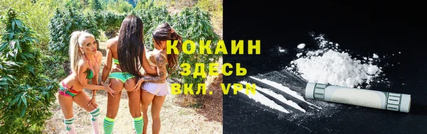 синтетический гашиш Заводоуковск