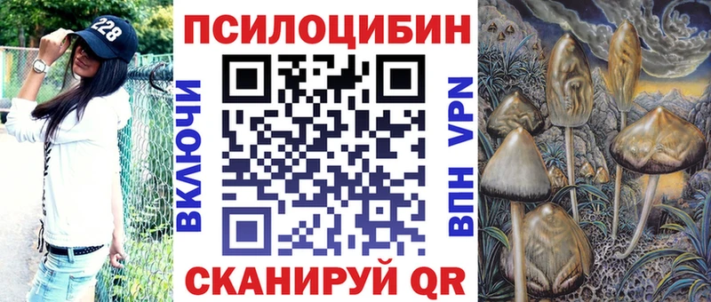 Купить где  Дмитровск  Псилоцибиновые грибы MAGIC MUSHROOMS 